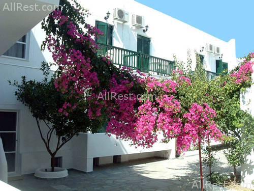 Apollon Hotel 18